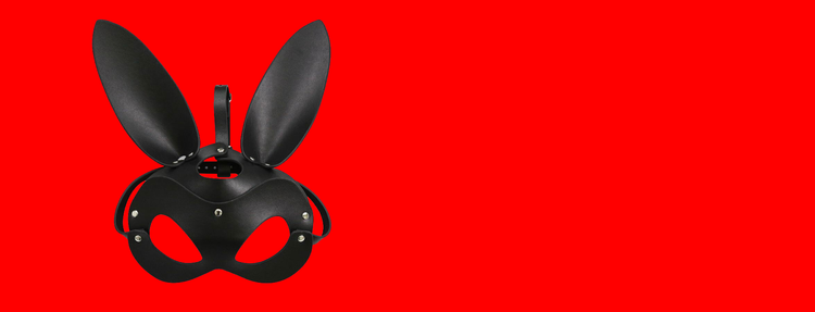 Tipos de Juguetes Sexuales BDSM