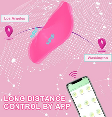 Vibrador Panty Paname App - Cake Sex Shop 2 3