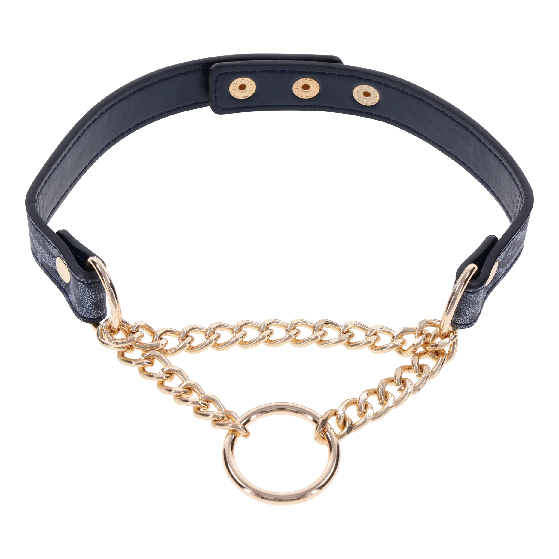 Collar Cougar Day Collar - Cake Sex Shop
