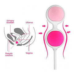 Kit of Kegel Ball