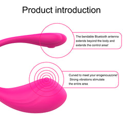 Vibrador Lush Lover App - Cake Sex Shop 2 3