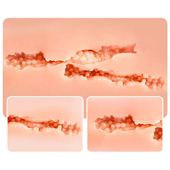 Masturbador Elvira Realistic Pussy Ass 3