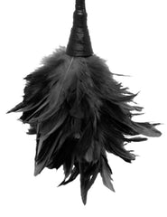 Plumero Frisky Feather Duster