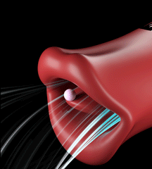 Vibrador Red Licking Lips - Cake Sex Shop 2