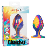 Plug Anal Cheeky Large Swirl Tie-Dye Plug - Cake Sex Shop