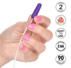 Vibrador Whisper Micro-Bullet - Purple - Cake Sex Shop 2