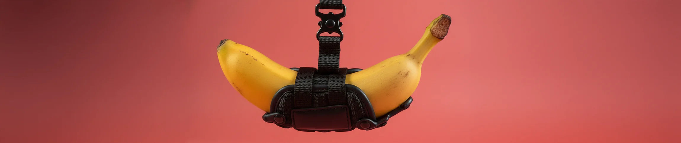 dildo arnes strap on