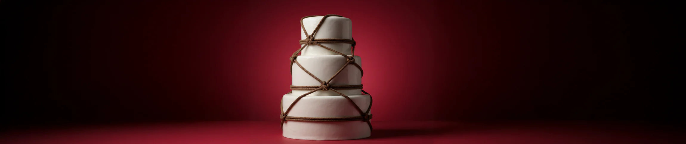 sujetadores bdsm bondage