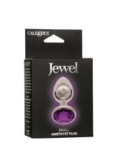 Plug Anal Jewel Amethyst Plug - Small