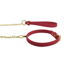 Collar Adjustable Silicone Collar & Leash