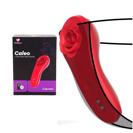 Masajeador Sexual Caleo Red Rose Panty Vibrator Cake Sex Shop Juguetes Sexuales para Adultos 800