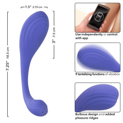 Kegel Connect Kegel Exerciser