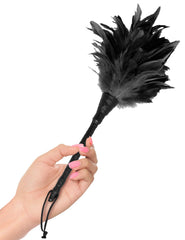 Plumero Frisky Feather Duster