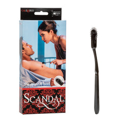 Scandal Pleasure Wheel - Cake Sex Shop