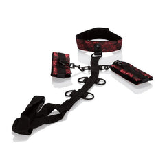 Body Scandal Collar Body Restraints - Cake Sex Shop 2 3 4
